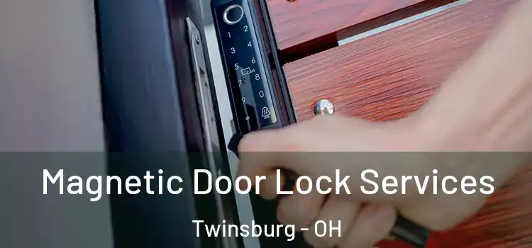Magnetic Door Lock Services Twinsburg - OH
